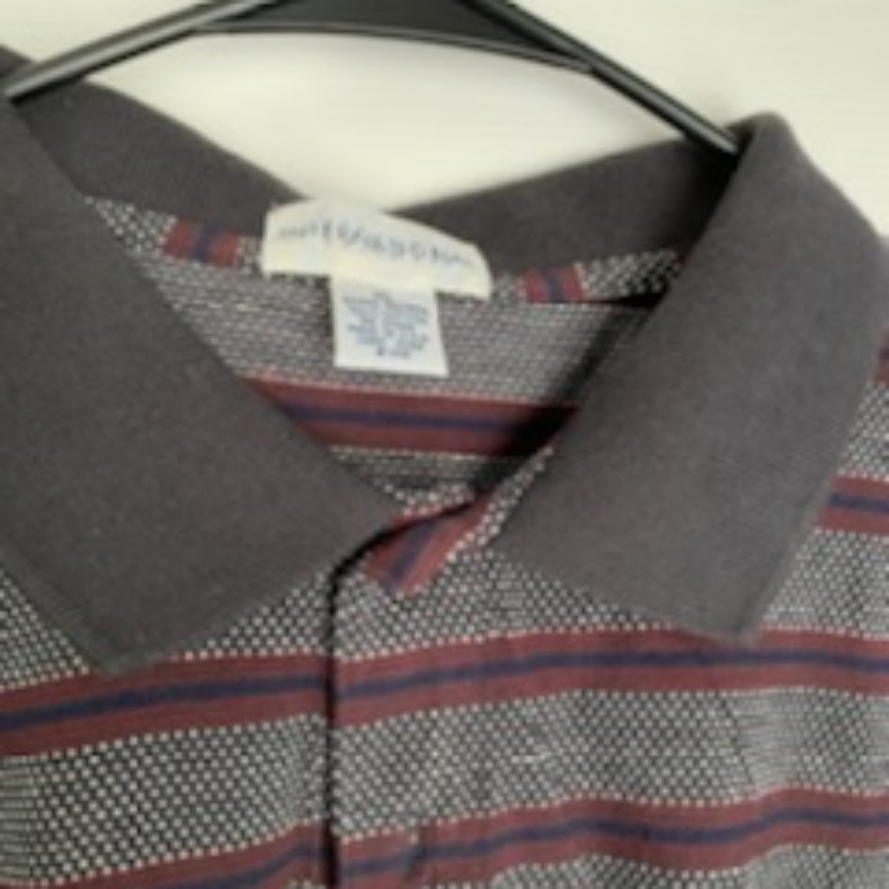 Polo - Picture 2 of 4